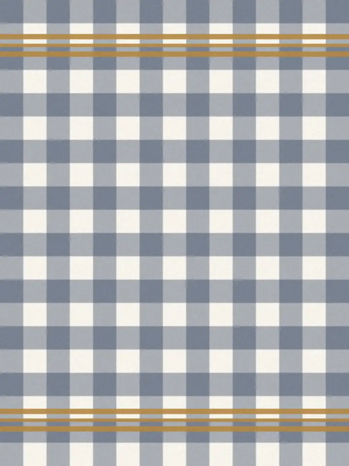 Checked cotton kitchen towel