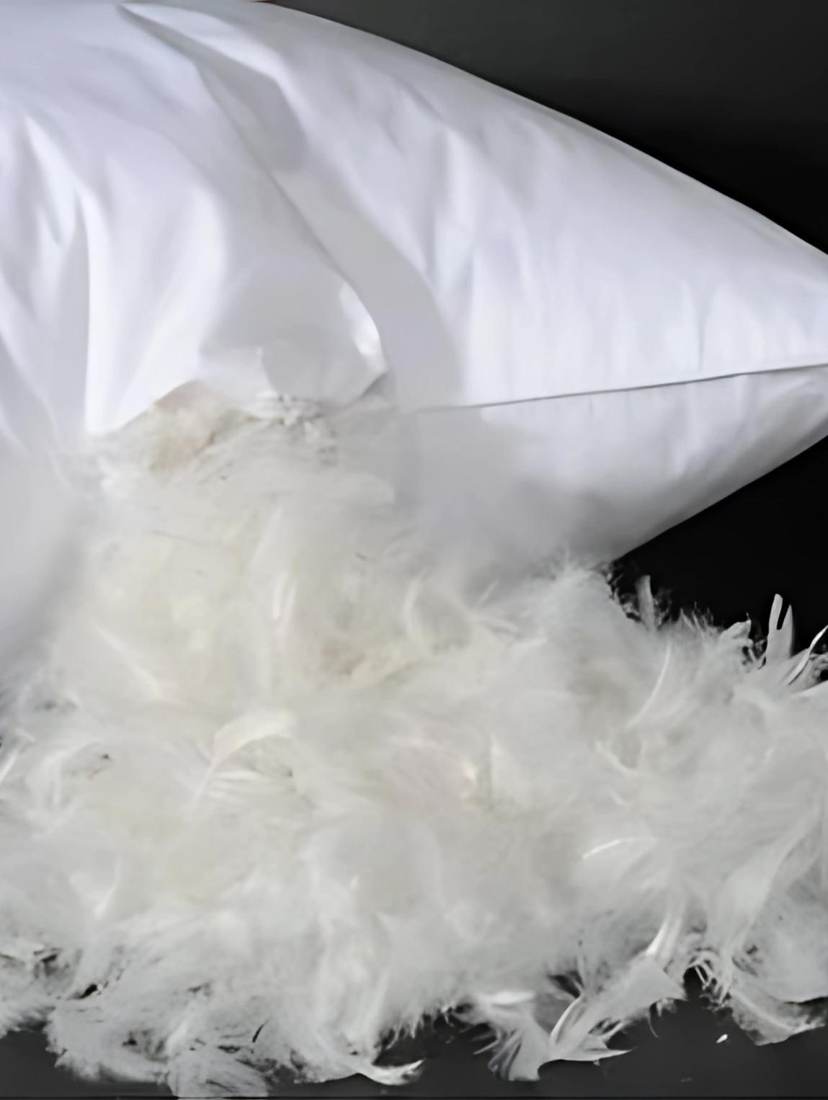 White pillow with feather fill